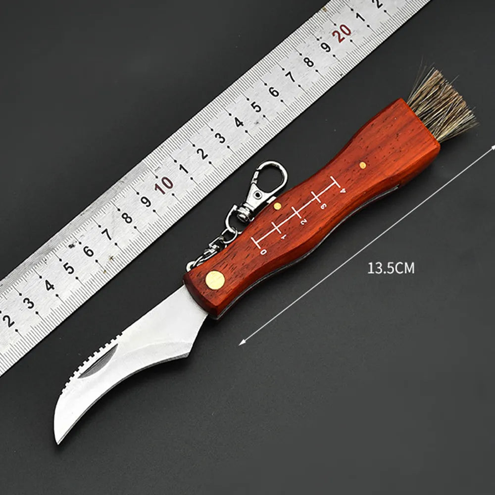image_1
