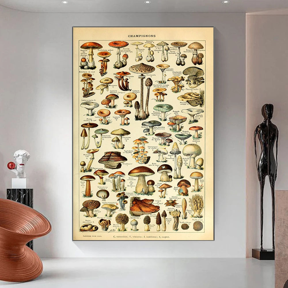 Vintage Nature Mushrooms Prints Canvas Painting