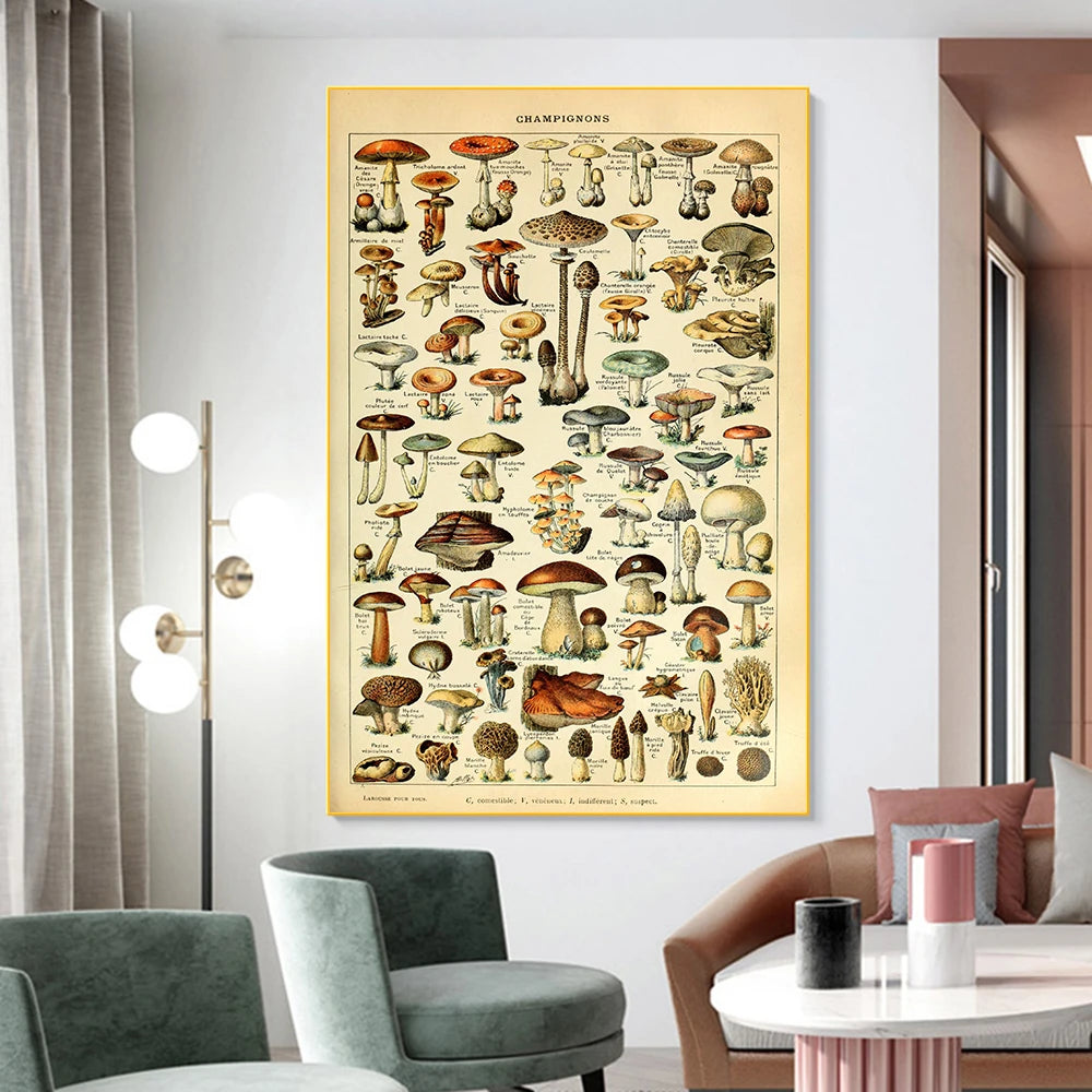 Vintage Nature Mushrooms Prints Canvas Painting