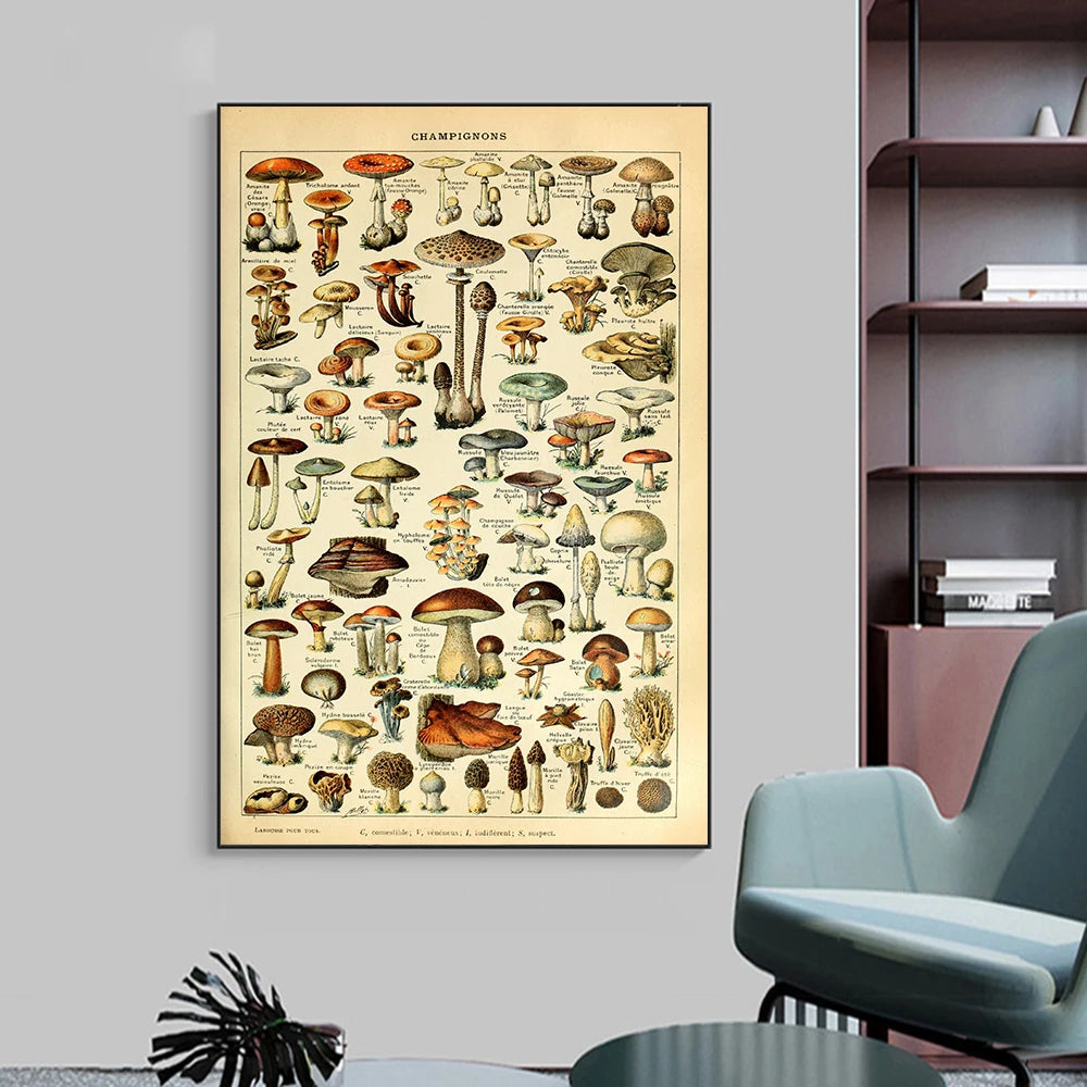 Vintage Nature Mushrooms Prints Canvas Painting